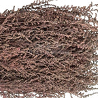 STOEBE TERRACOTTA (buchet maro, 40-50 cm)