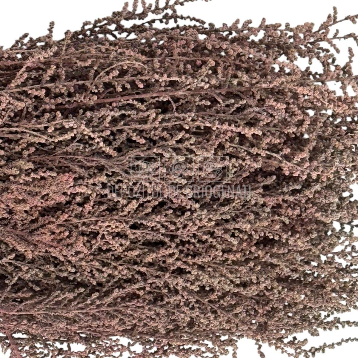 STOEBE TERRACOTTA (buchet maro, 40-50 cm)