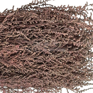 STOEBE TERRACOTTA (buchet maro, 40-50 cm)