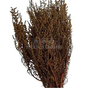 STOEBE TERRACOTTA (buchet maro, 40-50 cm)