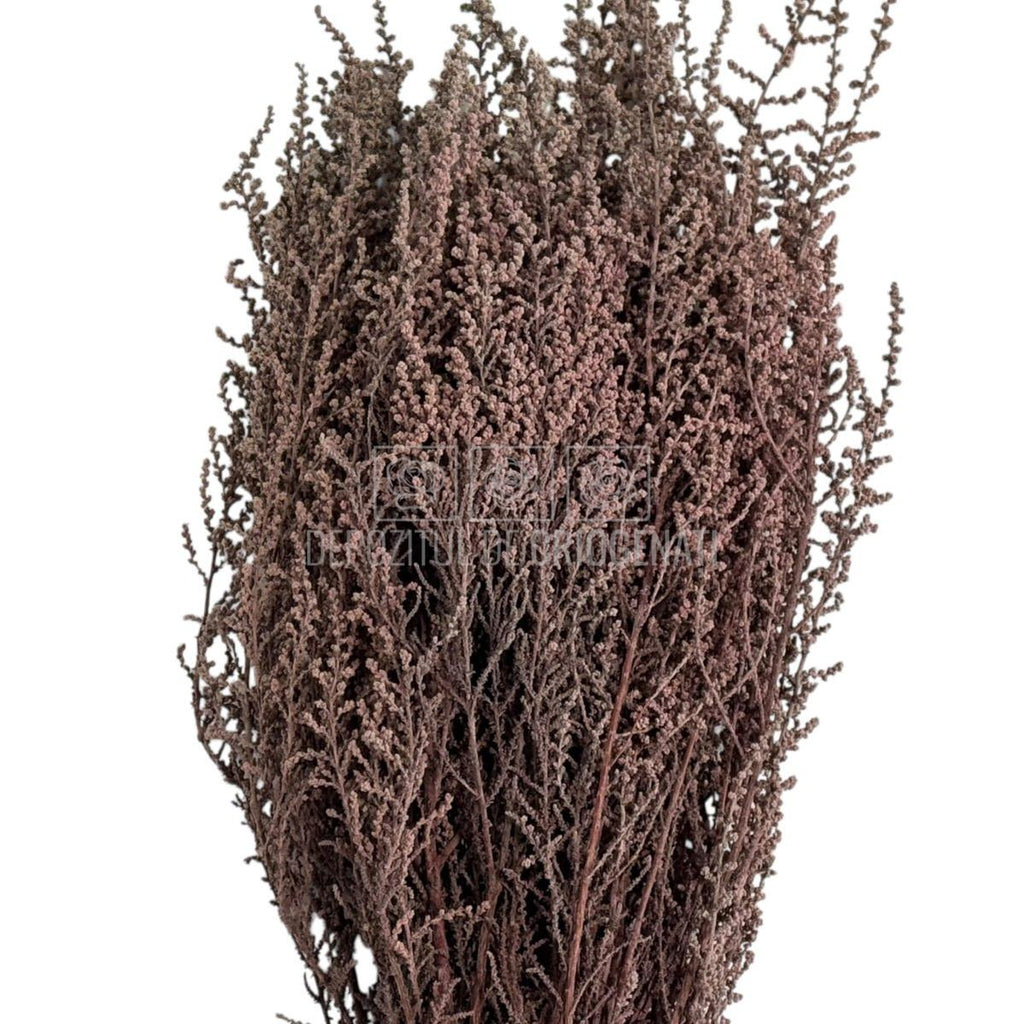 STOEBE TERRACOTTA (buchet maro, 40-50 cm)