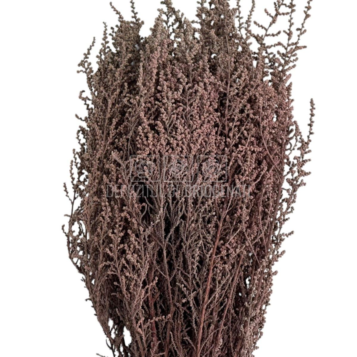 STOEBE TERRACOTTA (buchet maro, 40-50 cm)