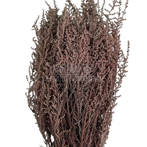 STOEBE TERRACOTTA (buchet maro, 40-50 cm)