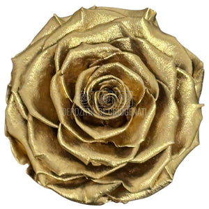 Trandafir Criogenat BONITA METALLIC GOLD - RoseAmor