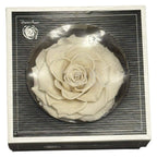 Trandafir Criogenat BONITA WHI-04 - Trandafiri Criogenati RoseAmor