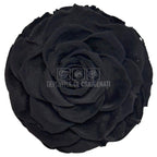 Trandafir Criogenat Bonita Bla-01 - Trandafiri Criogenati RoseAmor