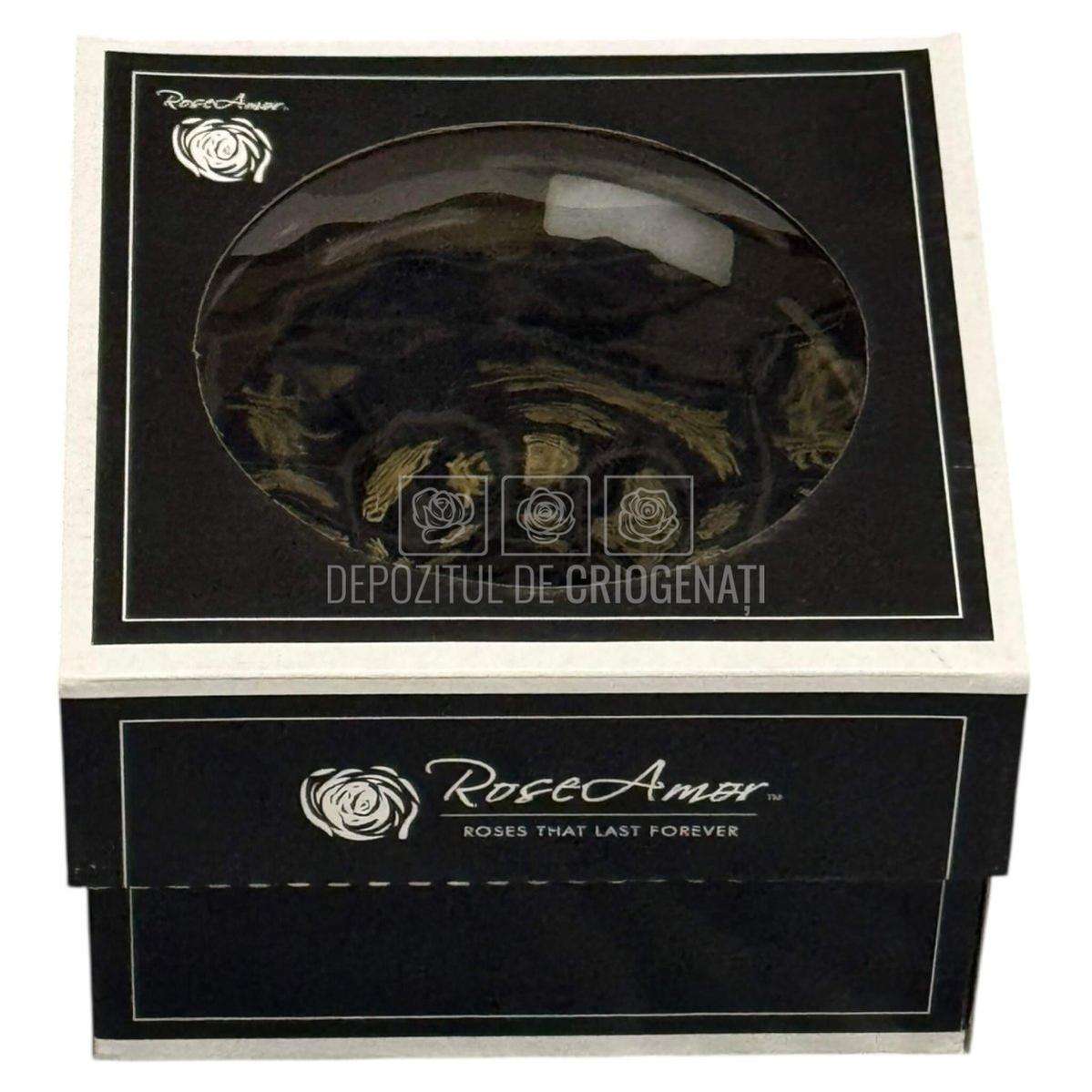 Trandafir Criogenat Bonita Bla-01 - Trandafiri Criogenati RoseAmor