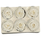 Trandafiri Criogenati Lulu L ANGELICAL WHITE (dia. 6-6,5cm, set 6 buc)
