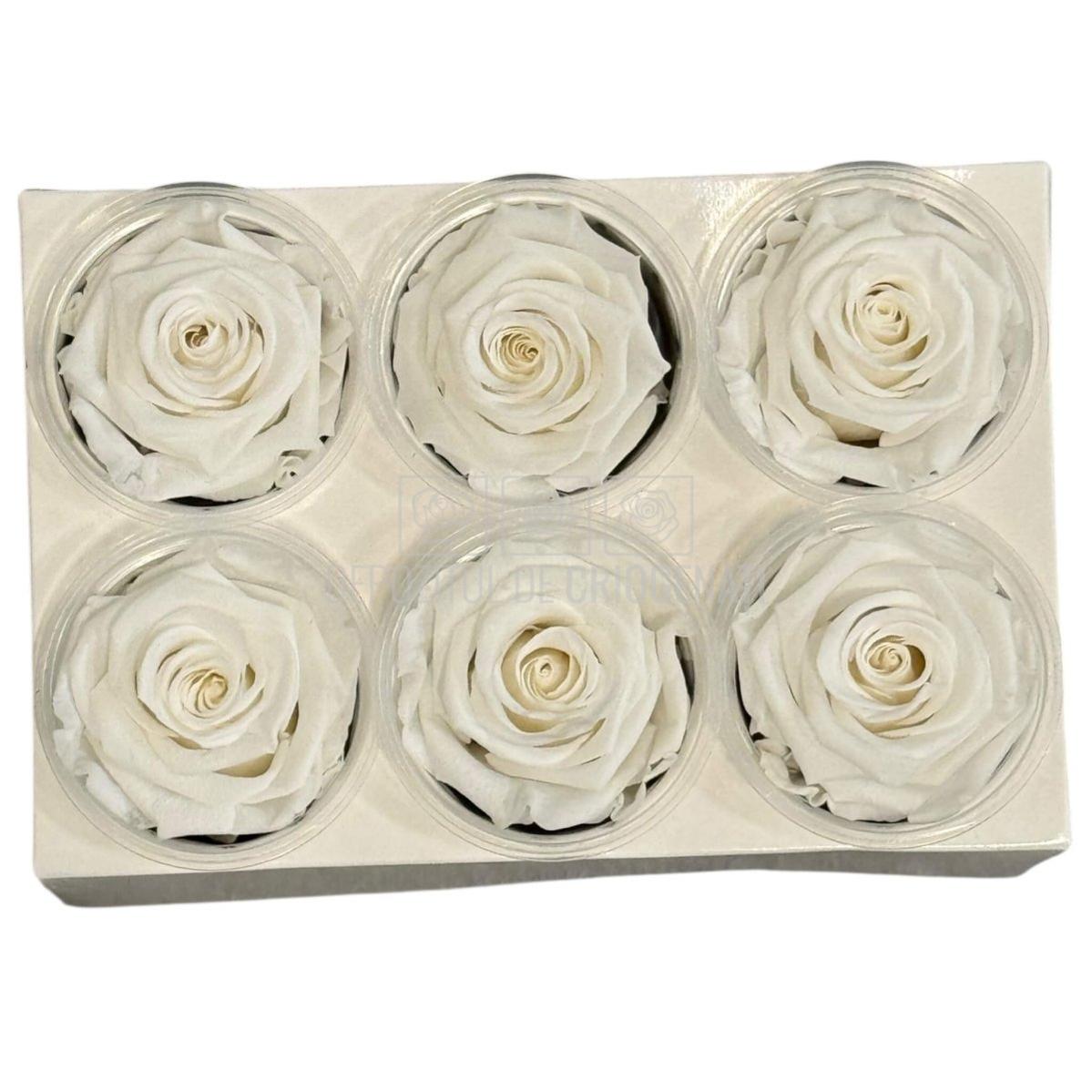 Trandafiri Criogenati Lulu L ANGELICAL WHITE (dia. 6-6,5cm, set 6 buc)
