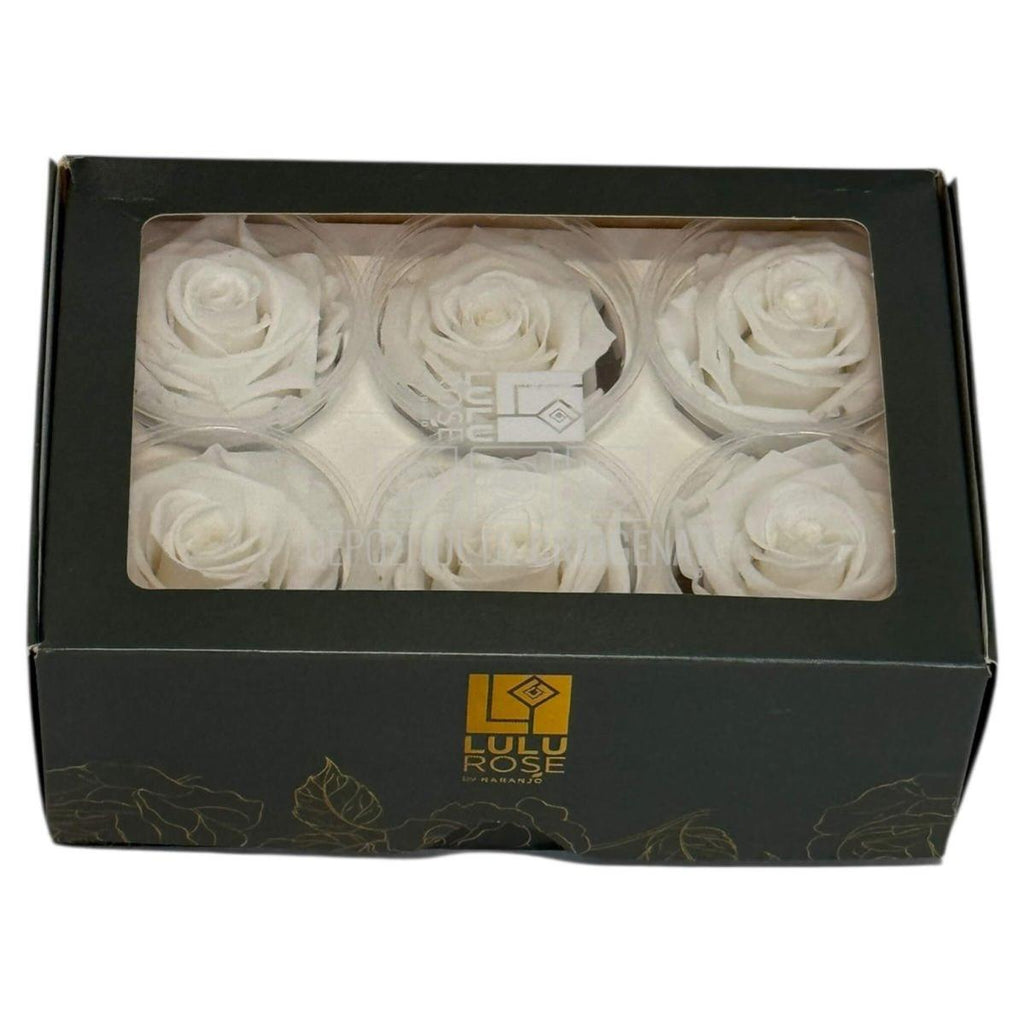 Trandafiri Criogenati Lulu L ANGELICAL WHITE (dia. 6-6,5cm, set 6 buc)