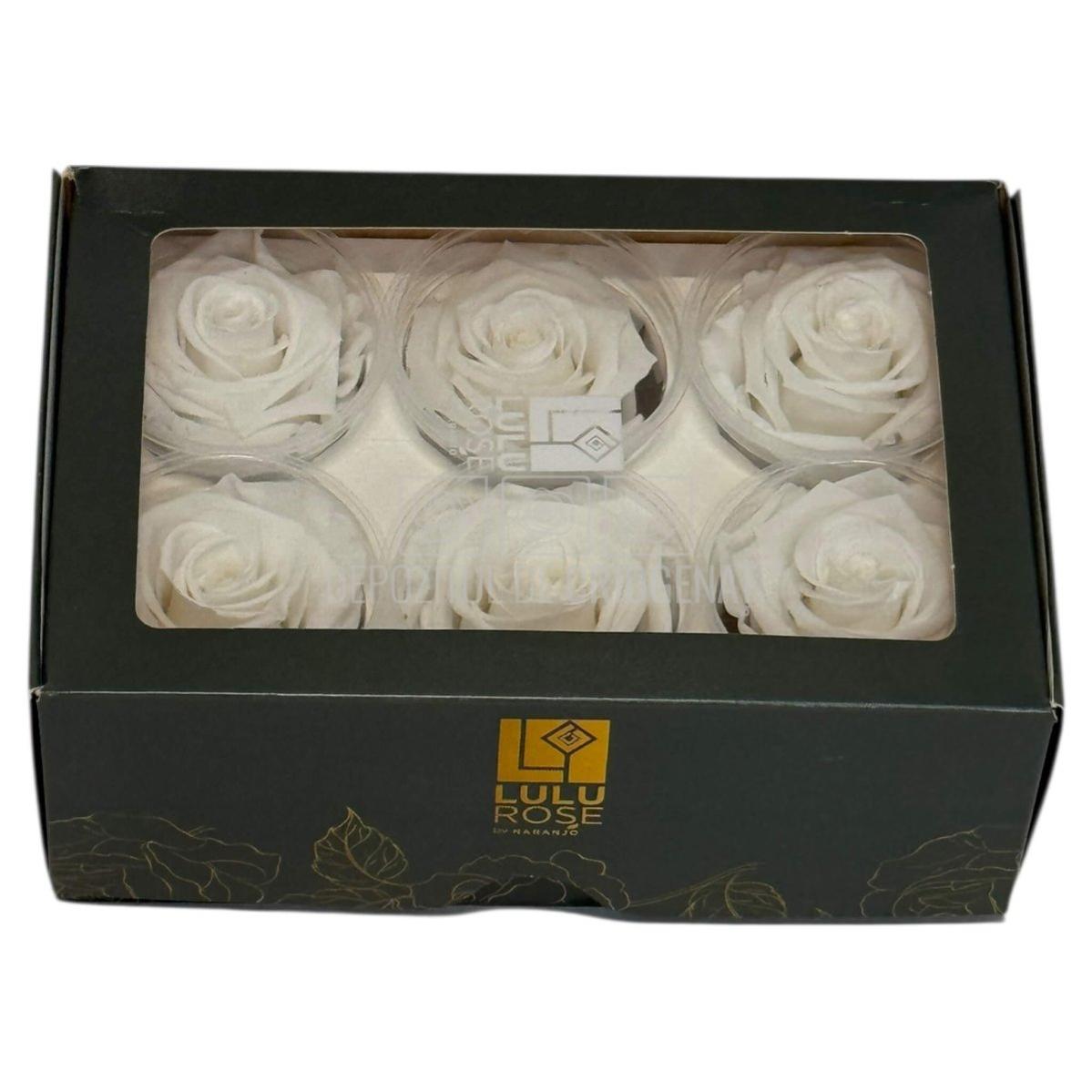 Trandafiri Criogenati Lulu L ANGELICAL WHITE (dia. 6-6,5cm, set 6 buc)