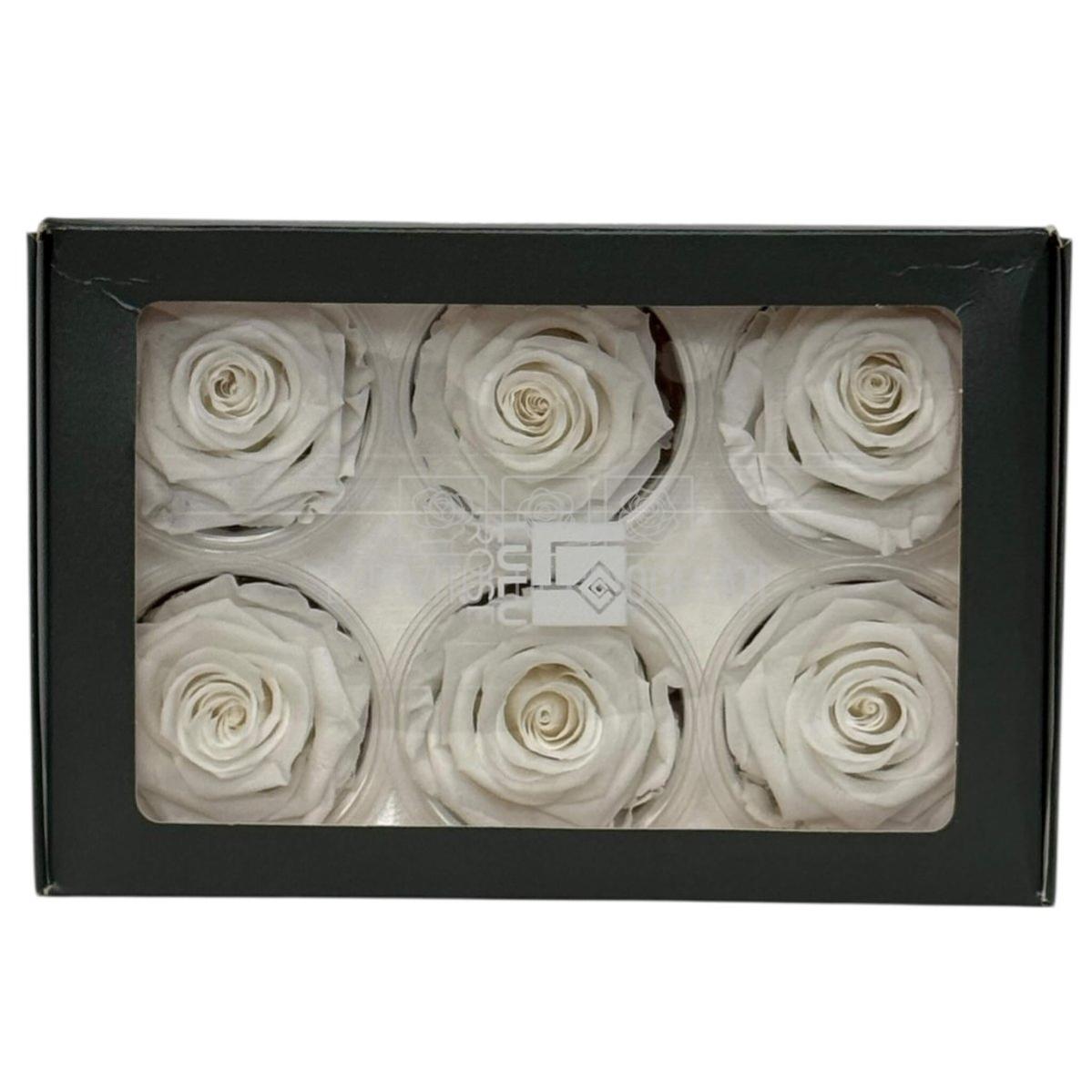 Trandafiri Criogenati Lulu L ANGELICAL WHITE (dia. 6-6,5cm, set 6 buc)