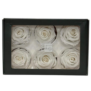Trandafiri Criogenati Lulu L ANGELICAL WHITE (dia. 6-6,5cm, set 6 buc)