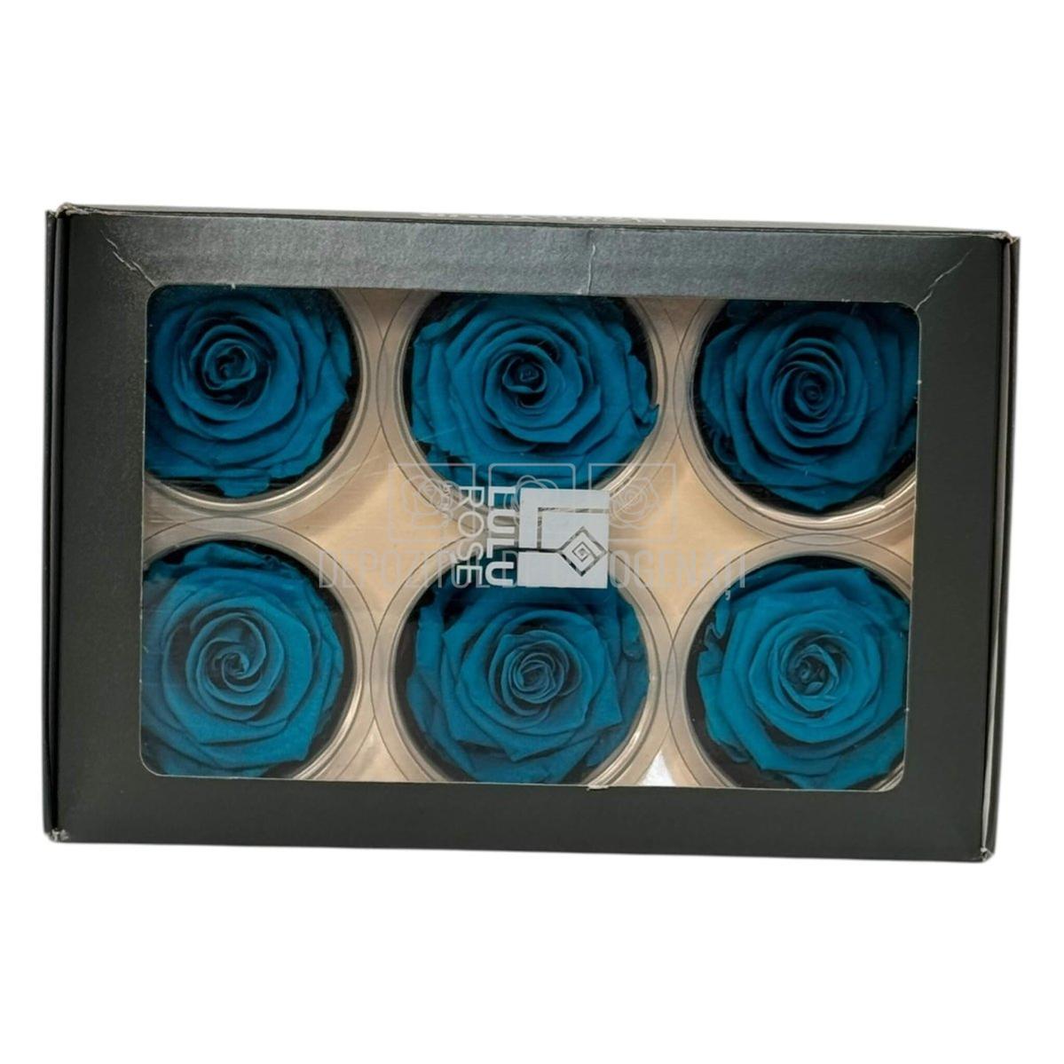 Trandafiri Criogenati Lulu L AUTHENTIC TURQUOISE (dia. 6-6,5cm, set 6 buc)