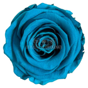 Trandafiri Criogenati Lulu L AUTHENTIC TURQUOISE (dia. 6-6,5cm, set 6 buc)