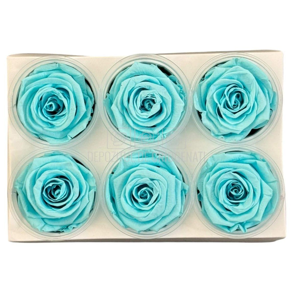 Trandafiri Criogenati Lulu L BLUE TIFFANY (dia. 6-6,5cm, set 6 buc)