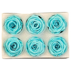 Trandafiri Criogenati Lulu L BLUE TIFFANY (dia. 6-6,5cm, set 6 buc)
