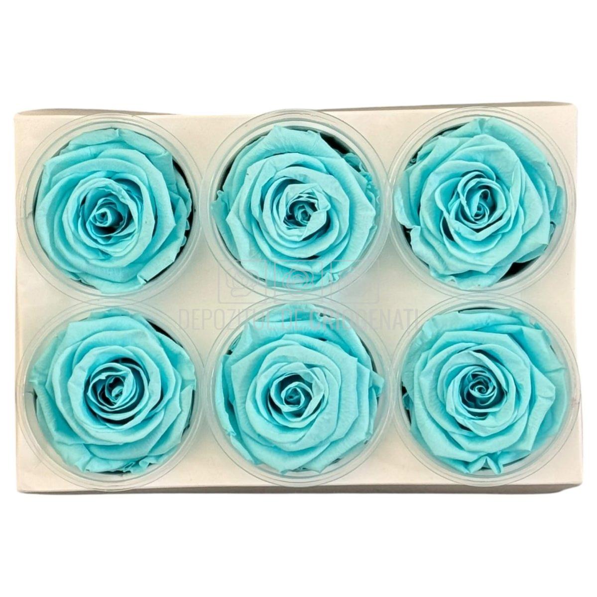 Trandafiri Criogenati Lulu L BLUE TIFFANY (dia. 6-6,5cm, set 6 buc)