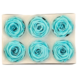 Trandafiri Criogenati Lulu L BLUE TIFFANY (dia. 6-6,5cm, set 6 buc)