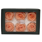 Trandafiri Criogenati Lulu L CORALICIOUS PEACH (dia. 6-6,5cm, set 6 buc)