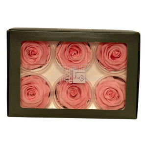 Trandafiri Criogenati Lulu L DELICATE BABY PINK (dia. 6-6,5cm, set 6 buc)