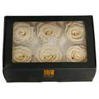 Trandafiri Criogenati Lulu L FANCY CREAM (dia. 6-6,5cm, set 6 buc)