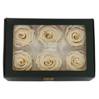 Trandafiri Criogenati Lulu L FANCY CREAM (dia. 6-6,5cm, set 6 buc)