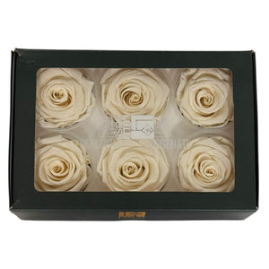 Trandafiri Criogenati Lulu L FANCY CREAM (dia. 6-6,5cm, set 6 buc)