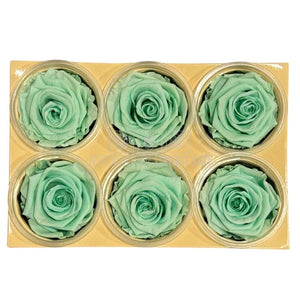 Trandafiri Criogenati Lulu L MAJESTIC LIGHT MINT (dia. 6-6,5cm, set 6 buc)