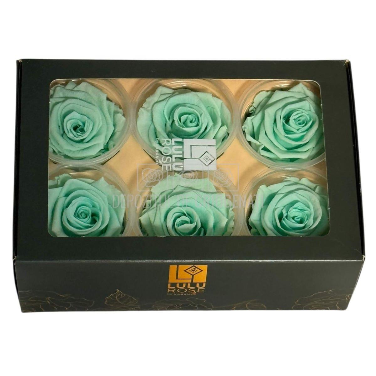 Trandafiri Criogenati Lulu L MAJESTIC LIGHT MINT (dia. 6-6,5cm, set 6 buc)