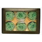 Trandafiri Criogenati Lulu L MAJESTIC LIGHT MINT (dia. 6-6,5cm, set 6 buc)