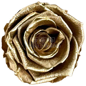 Trandafiri Criogenati Lulu L METALIC GOLD (dia. 6-6,5cm, set 6 buc)