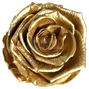 Trandafiri Criogenati Lulu L METALIC GOLD (dia. 6-6,5cm, set 6 buc)