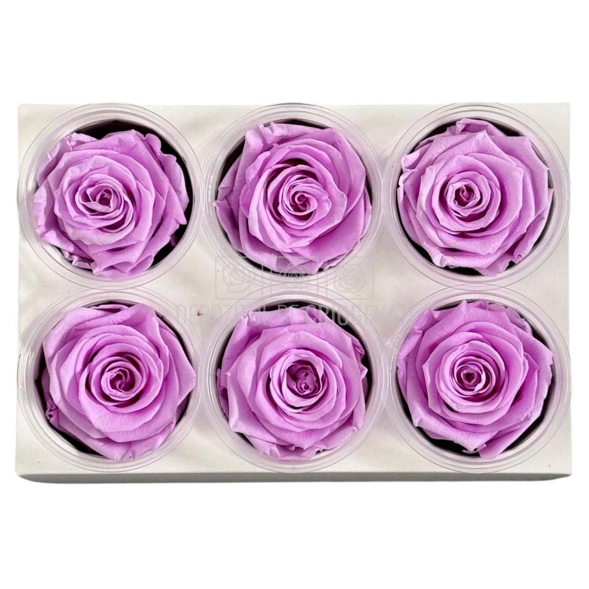 Trandafiri Criogenati Lulu L NOBEL LILIAC (dia. 6-6,5cm, set 6 buc)