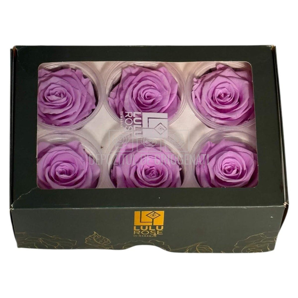 Trandafiri Criogenati Lulu L NOBEL LILIAC (dia. 6-6,5cm, set 6 buc)