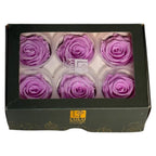 Trandafiri Criogenati Lulu L NOBEL LILIAC (dia. 6-6,5cm, set 6 buc)