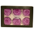 Trandafiri Criogenati Lulu L NOBEL LILIAC (dia. 6-6,5cm, set 6 buc)