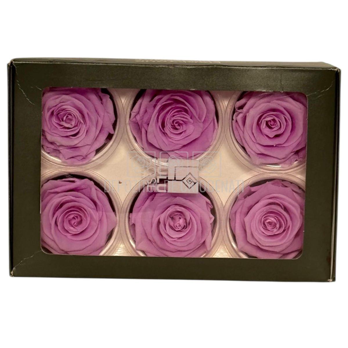 Trandafiri Criogenati Lulu L NOBEL LILIAC (dia. 6-6,5cm, set 6 buc)