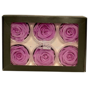 Trandafiri Criogenati Lulu L NOBEL LILIAC (dia. 6-6,5cm, set 6 buc)