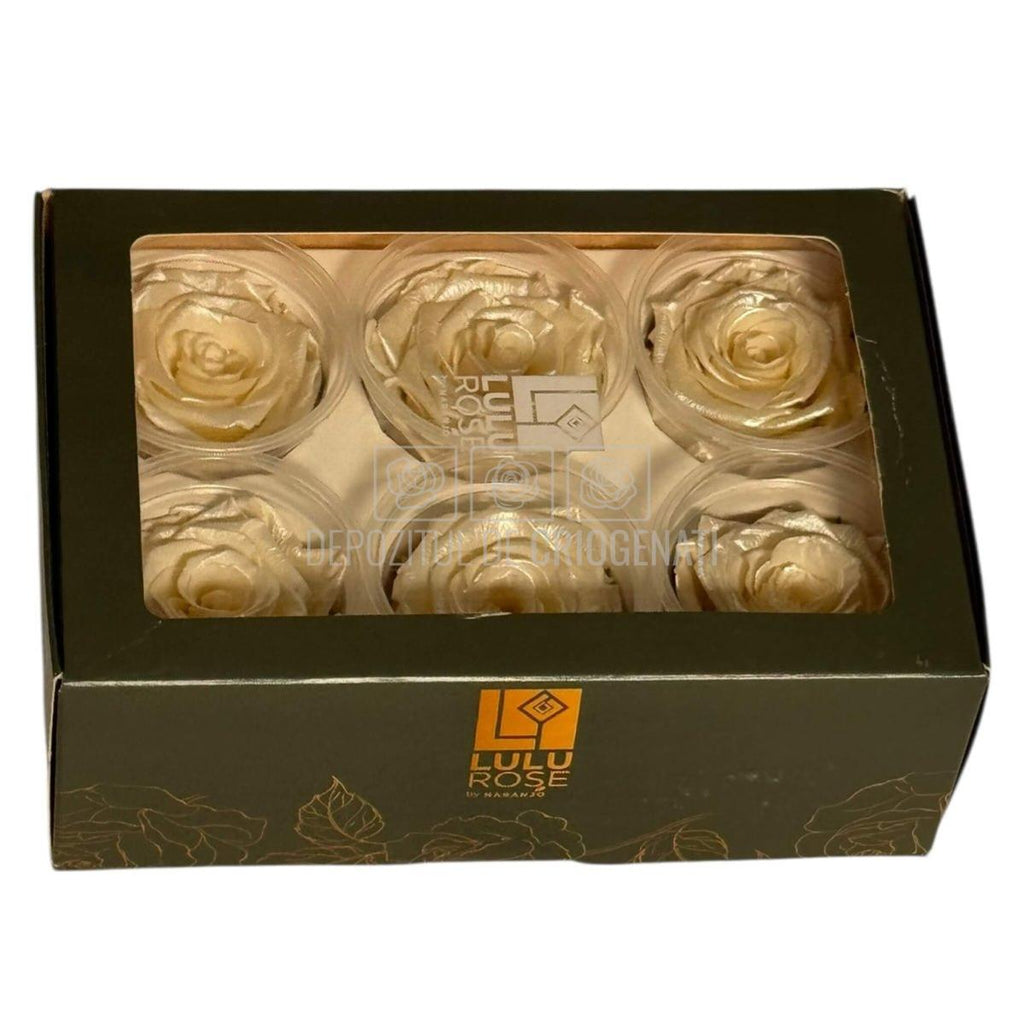 Trandafiri Criogenati Lulu L PEARLESCENT IVORY (dia. 6-6,5cm, set 6 buc)