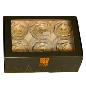 Trandafiri Criogenati Lulu L PEARLESCENT IVORY (dia. 6-6,5cm, set 6 buc)