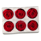 Trandafiri Criogenati Lulu L SUBLIME CHERRY RED (dia. 6-6,5cm, set 6 buc)