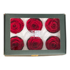 Trandafiri Criogenati Lulu L SUBLIME CHERRY RED (dia. 6-6,5cm, set 6 buc)