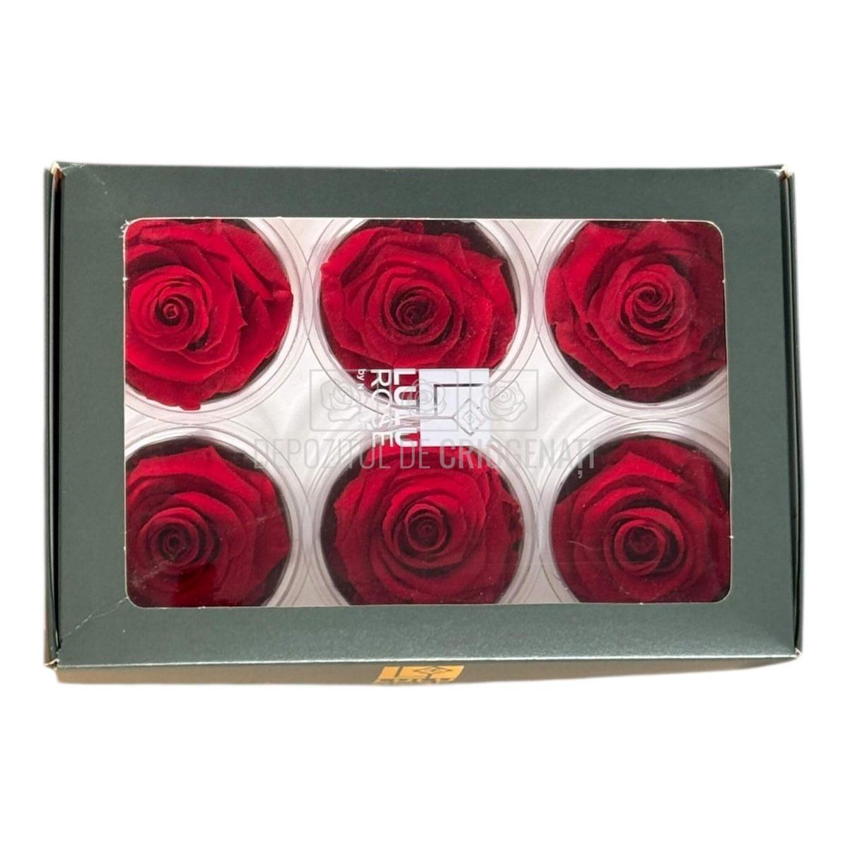 Trandafiri Criogenati Lulu L SUBLIME CHERRY RED (dia. 6-6,5cm, set 6 buc)