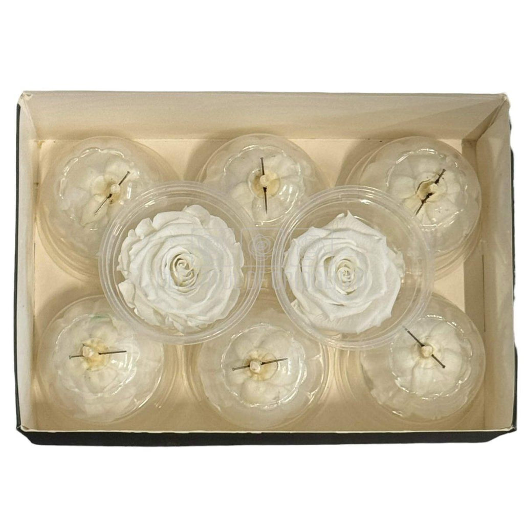 Trandafiri Criogenati Lulu S Angelical White (Ø4,5-5cm, 8 buc)