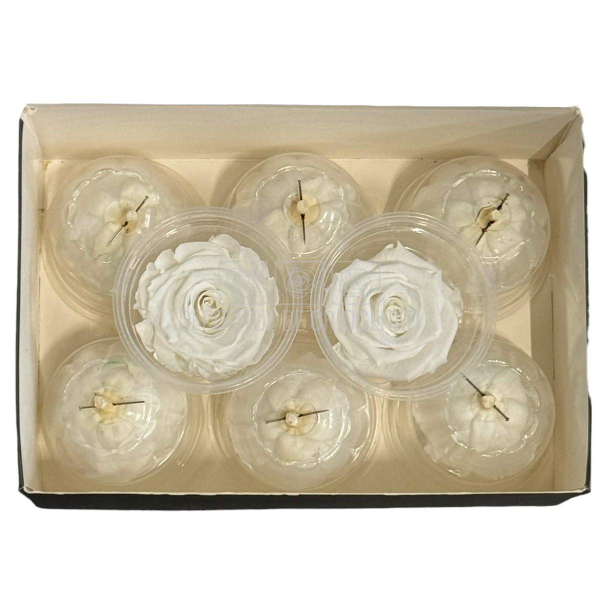 Trandafiri Criogenati Lulu S Angelical White (Ø4,5-5cm, 8 buc)