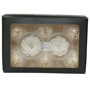 Trandafiri Criogenati Lulu S Angelical White (Ø4,5-5cm, 8 buc)