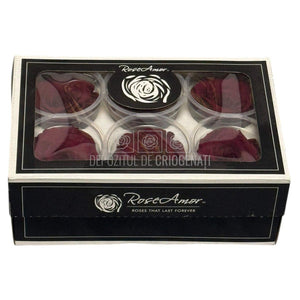 Trandafiri Criogenati RoseAmor XL PIN-02 - Set 6 buc