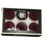 Trandafiri Criogenati RoseAmor XL PIN-02 - Set 6 buc
