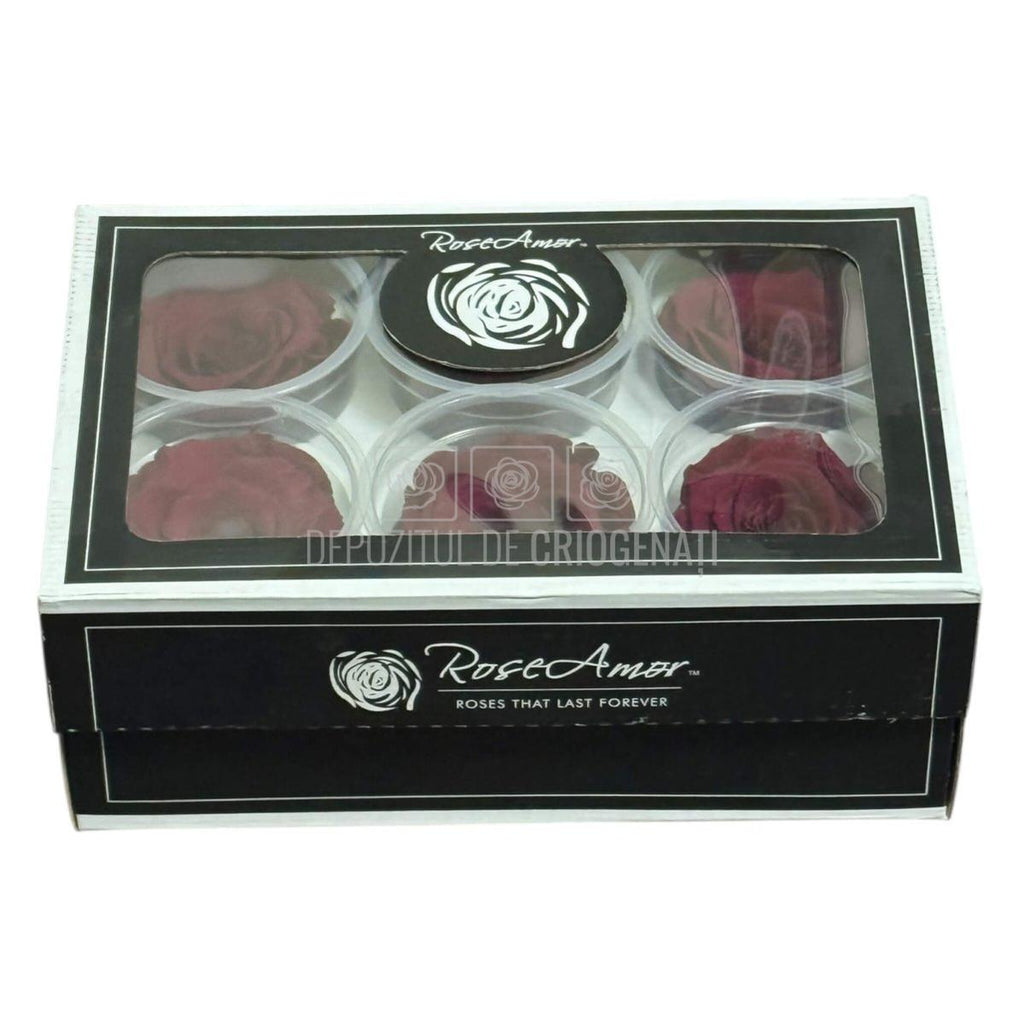 Trandafiri Criogenati RoseAmor XL PIN-02 - Set 6 buc